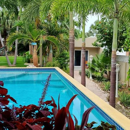Hibiscus Beach House Jan Thiel Екстер'єр фото