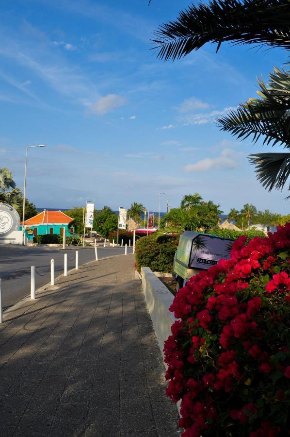 Hibiscus Beach House Jan Thiel Екстер'єр фото